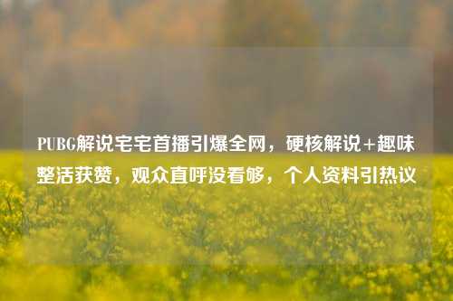 PUBG解说宅宅首播引爆全网,硬核解说+趣味整活获赞,观众直呼没看够,个人资料引热议