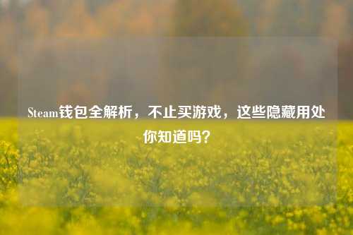 Steam钱包全解析,不止买游戏,这些隐藏用处你知道吗?