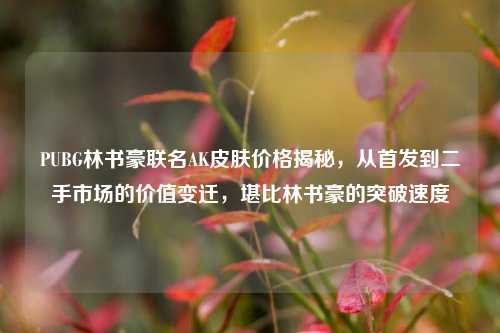 PUBG林书豪联名AK皮肤价格揭秘,从首发到二手市场的价值变迁,堪比林书豪的突破速度