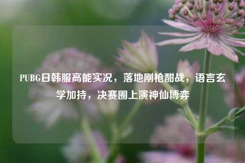 PUBG日韩服高能实况,落地刚枪酣战,语言玄学加持,决赛圈上演神仙博弈