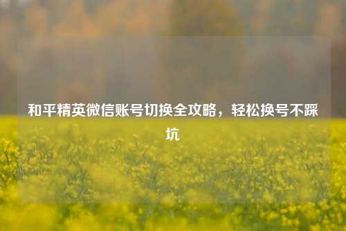 和平精英微信账号切换全攻略,轻松换号不踩坑