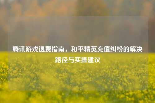 腾讯游戏退费指南,和平精英充值纠纷的解决路径与实操建议