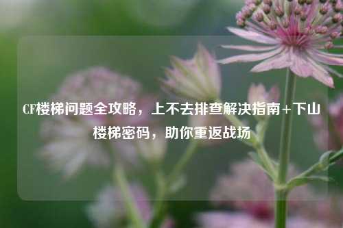 CF楼梯问题全攻略,上不去排查解决指南+下山楼梯密码,助你重返战场