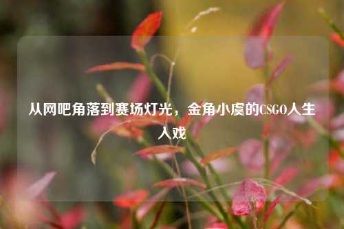 从网吧角落到赛场灯光，金角小虞的CSGO人生入戏