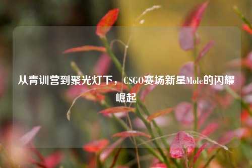 从青训营到聚光灯下，CSGO赛场新星Mole的闪耀崛起