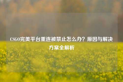 CSGO完美平台重连被禁止怎么办？原因与解决方案全解析