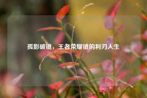 孤影破镜，王者荣耀镜的利刃人生