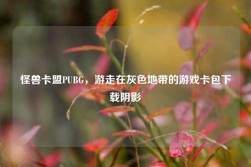 怪兽卡盟PUBG,游走在灰色地带的游戏卡包下载阴影