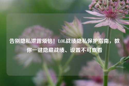 告别隐私泄露烦恼!LOL战绩隐私保护指南,教你一键隐藏战绩、设置不可查看