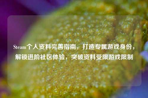 Steam个人资料完善指南,打造专属游戏身份,解锁进阶社区体验,突破资料受限游戏限制
