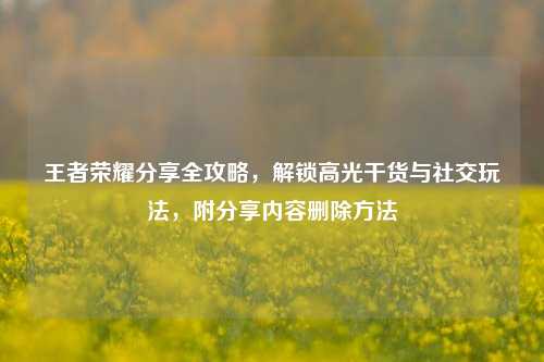 王者荣耀分享全攻略,解锁高光干货与社交玩法,附分享内容删除方法