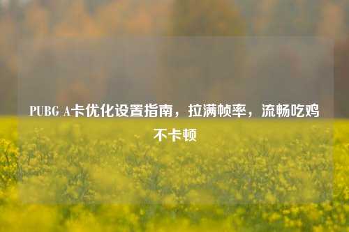 PUBG A卡优化设置指南,拉满帧率,流畅吃鸡不卡顿
