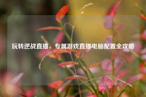 玩转逆战直播,专属游戏直播电脑配置全攻略
