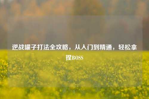 逆战罐子打法全攻略,从入门到精通,轻松拿捏BOSS