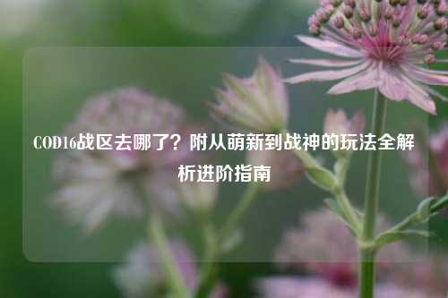 COD16战区去哪了?附从萌新到战神的玩法全解析进阶指南