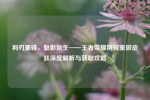 利刃重铸,魅影新生——王者荣耀荆轲重做皮肤深度解析与获取攻略