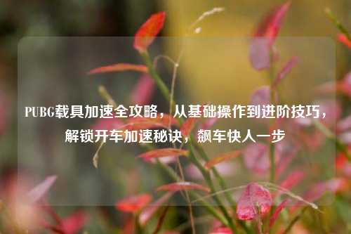 PUBG载具加速全攻略,从基础操作到进阶技巧,解锁开车加速秘诀,飙车快人一步