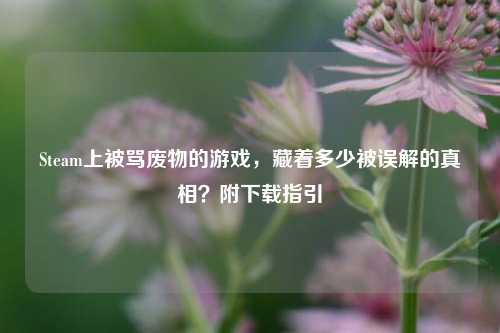 Steam上被骂废物的游戏，藏着多少被误解的真相？附下载指引