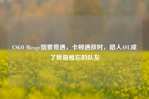 CSGO Mirage烟雾奇遇,卡顿遇敌时,路人AVC成了我最难忘的队友