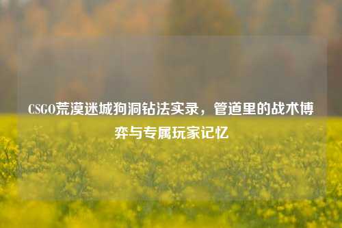 CSGO荒漠迷城狗洞钻法实录,管道里的战术博弈与专属玩家记忆