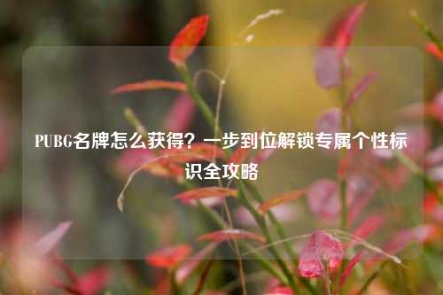 PUBG名牌怎么获得?一步到位解锁专属个性标识全攻略