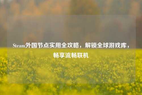 Steam外国节点实用全攻略,解锁全球游戏库,畅享流畅联机