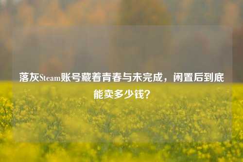 落灰Steam账号藏着青春与未完成，闲置后到底能卖多少钱？