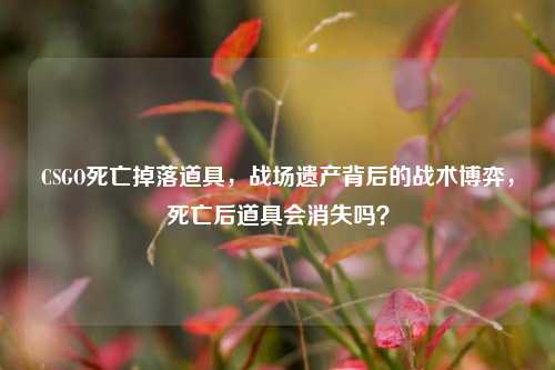 CSGO死亡掉落道具,战场遗产背后的战术博弈,死亡后道具会消失吗?