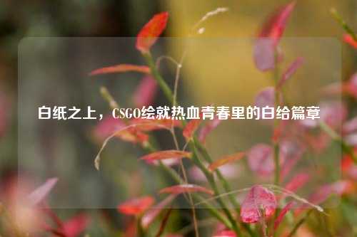 白纸之上,CSGO绘就热血青春里的白给篇章