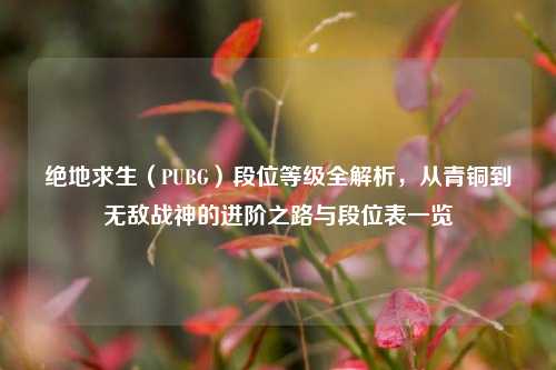 绝地求生(PUBG)段位等级全解析,从青铜到无敌战神的进阶之路与段位表一览