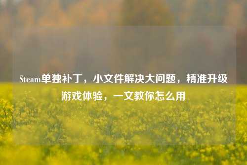 Steam单独补丁,小文件解决大问题,精准升级游戏体验,一文教你怎么用