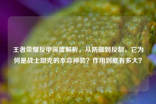 王者荣耀反甲深度解析,从防御到反制,它为何是战士坦克的本命神装?作用到底有多大?