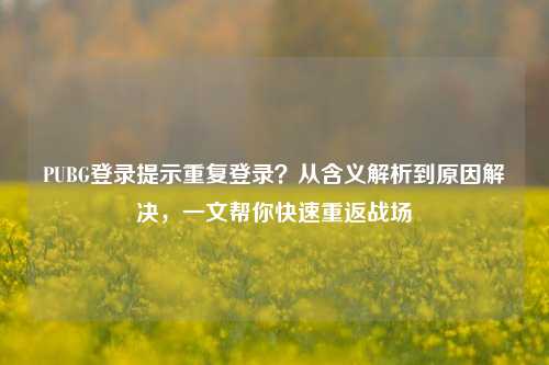 PUBG登录提示重复登录？从含义解析到原因解决，一文帮你快速重返战场