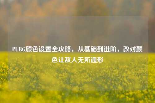 PUBG颜色设置全攻略,从基础到进阶,改对颜色让敌人无所遁形