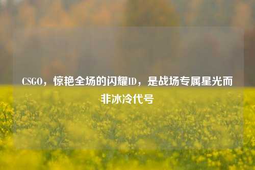 CSGO，惊艳全场的闪耀ID，是战场专属星光而非冰冷代号