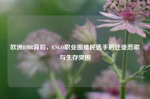 欧洲RMR背后,CSGO职业圈难民选手的迁徙悲歌与生存突围