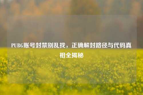 PUBG账号封禁别乱找,正确解封路径与代码真相全揭秘