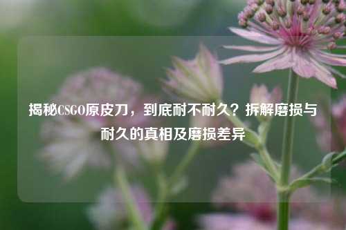 揭秘CSGO原皮刀，到底耐不耐久？拆解磨损与耐久的真相及磨损差异