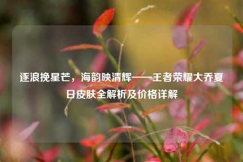 逐浪挽星芒,海韵映清辉——王者荣耀大乔夏日皮肤全解析及价格详解