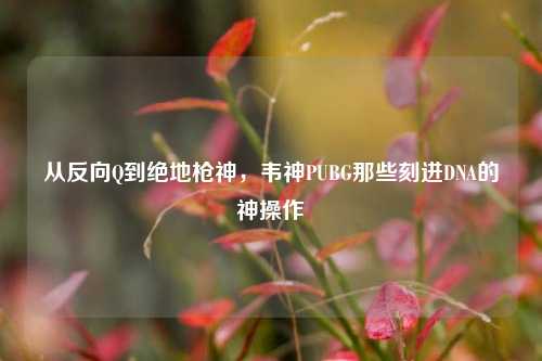 从反向Q到绝地枪神，韦神PUBG那些刻进DNA的神操作