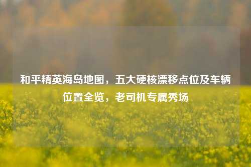 和平精英海岛地图,五大硬核漂移点位及车辆位置全览,老司机专属秀场
