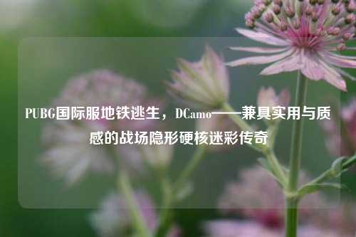 PUBG国际服地铁逃生,DCamo——兼具实用与质感的战场隐形硬核迷彩传奇