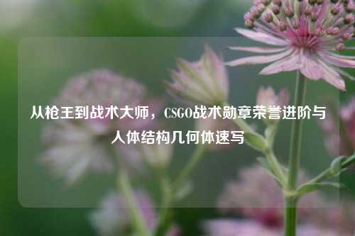 从枪王到战术大师,CSGO战术勋章荣誉进阶与人体结构几何体速写