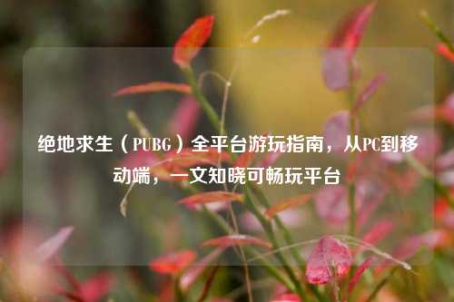 绝地求生(PUBG)全平台游玩指南,从PC到移动端,一文知晓可畅玩平台