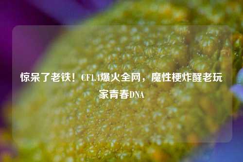 惊呆了老铁!CF1.4爆火全网,魔性梗炸醒老玩家青春DNA