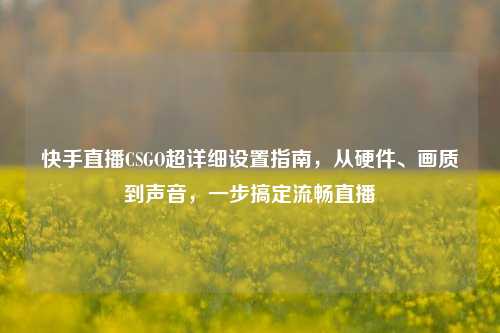 快手直播CSGO超详细设置指南,从硬件、画质到声音,一步搞定流畅直播