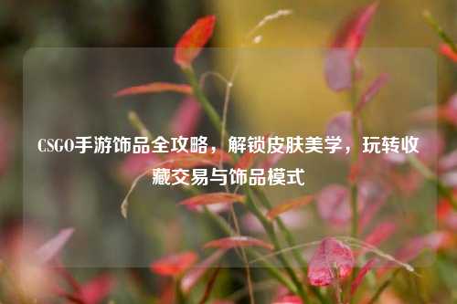 CSGO手游饰品全攻略，解锁皮肤美学，玩转收藏交易与饰品模式