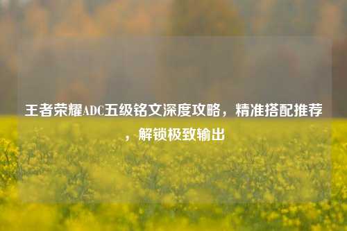 王者荣耀ADC五级铭文深度攻略,精准搭配推荐,解锁极致输出