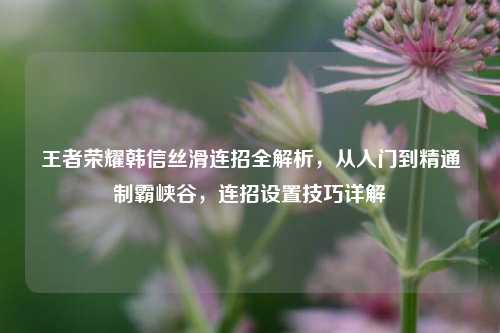 王者荣耀韩信丝滑连招全解析,从入门到精通制霸峡谷,连招设置技巧详解