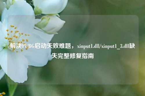 解决PUBG启动失败难题,xinput1.dll/xinput1_3.dll缺失完整修复指南